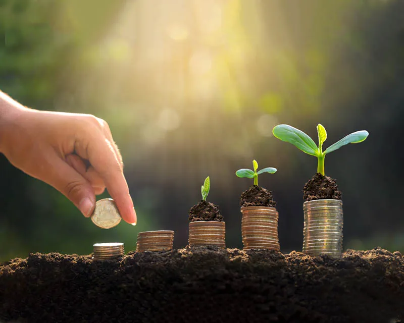 جمعية ميلاد لتنمية القدرات الشابة